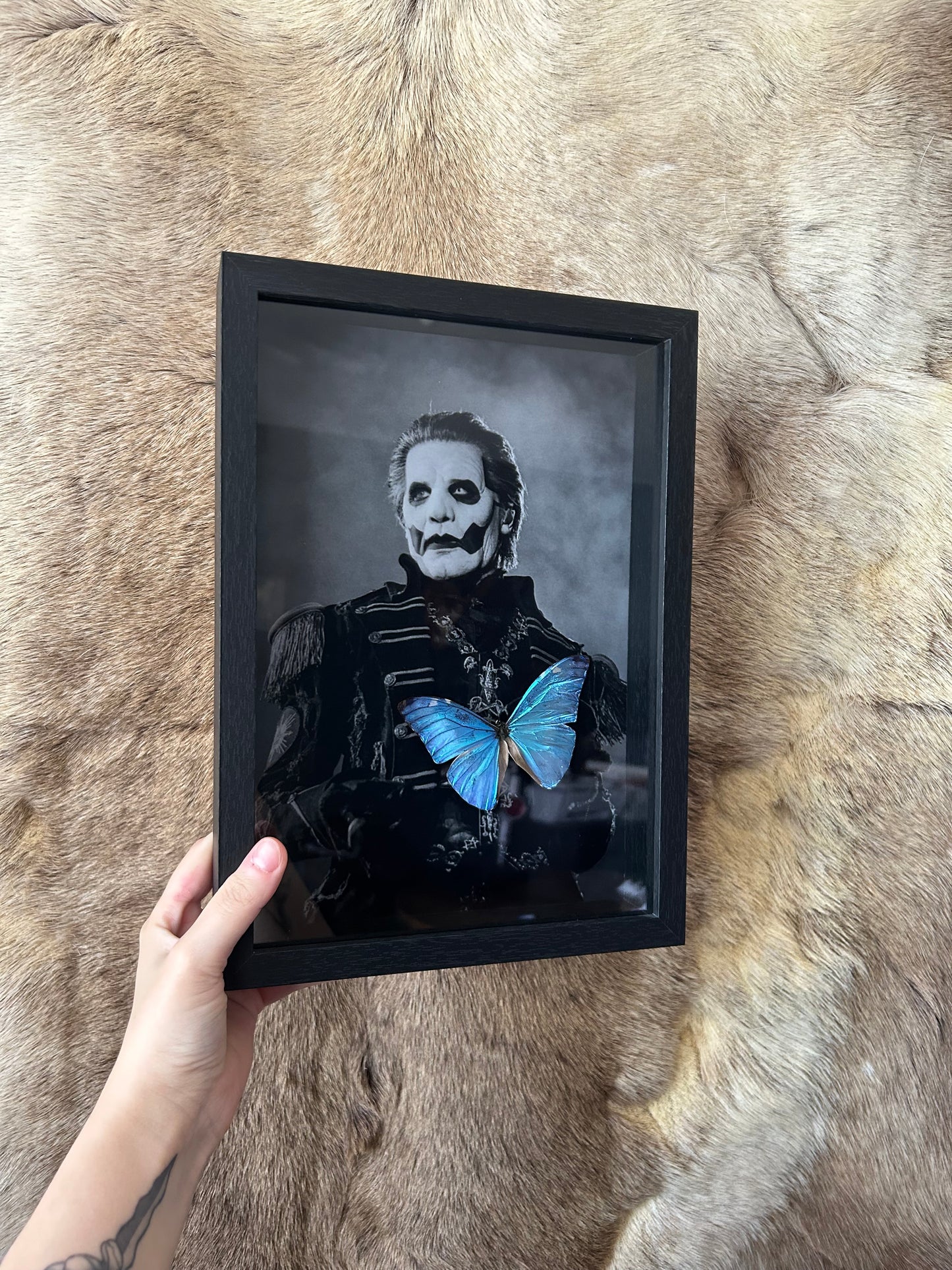 Morpho Marcus x GHOST