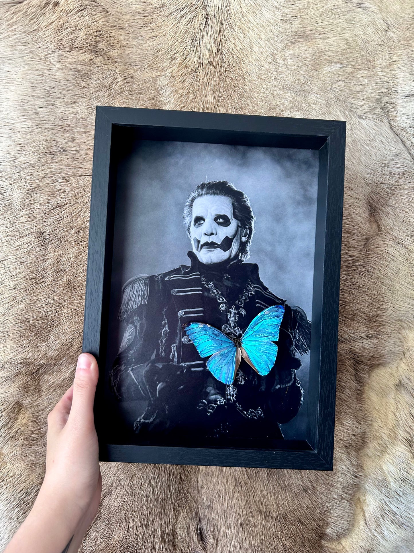 Morpho Marcus x GHOST