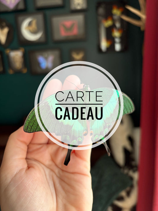 Pour faire plaisir à vos proches 🫶🏻